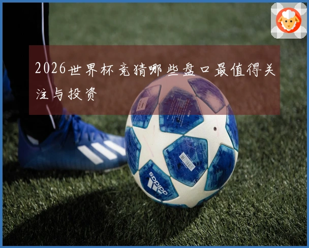 2026世界杯竞猜哪些盘口最值得关注与投资