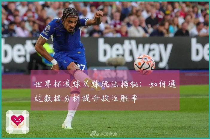 世界杯滚球买球玩法揭秘：如何通过数据分析提升投注胜率