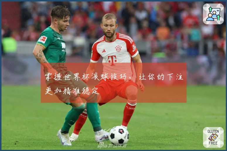 掌握世界杯滚球技巧，让你的下注更加精准稳定