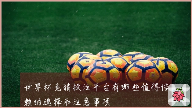 世界杯竞猜投注平台有哪些值得信赖的选择和注意事项