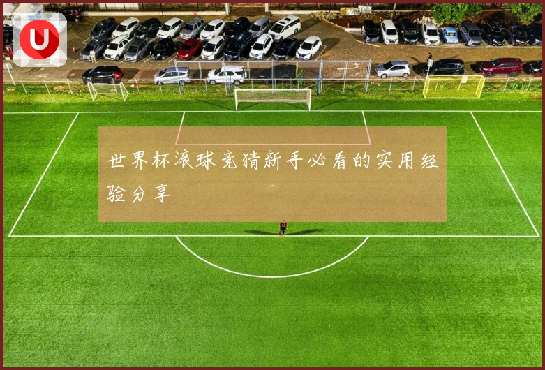 世界杯滚球竞猜新手必看的实用经验分享