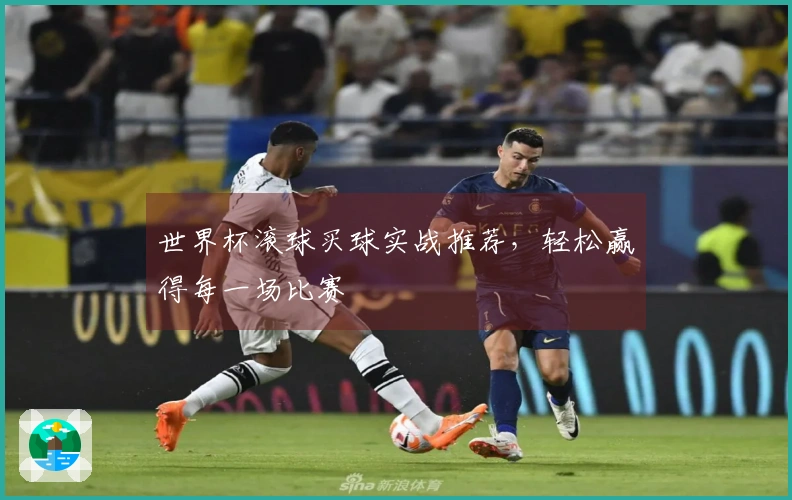 世界杯滚球买球实战推荐，轻松赢得每一场比赛