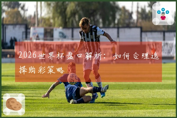 2026世界杯盘口解析：如何合理选择购彩策略