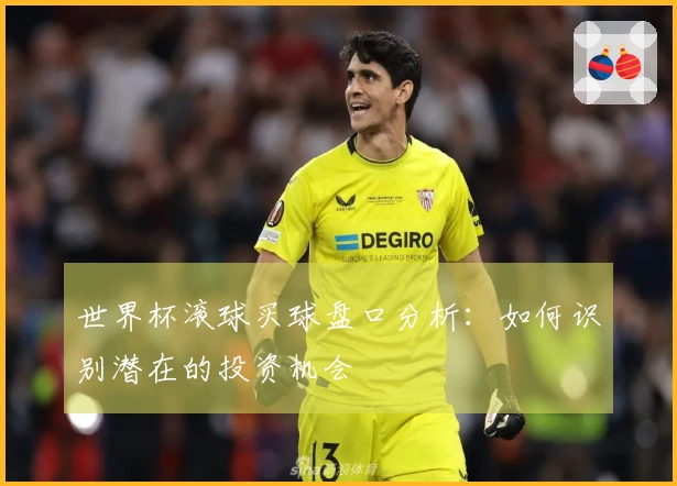 世界杯滚球买球盘口分析：如何识别潜在的投资机会
