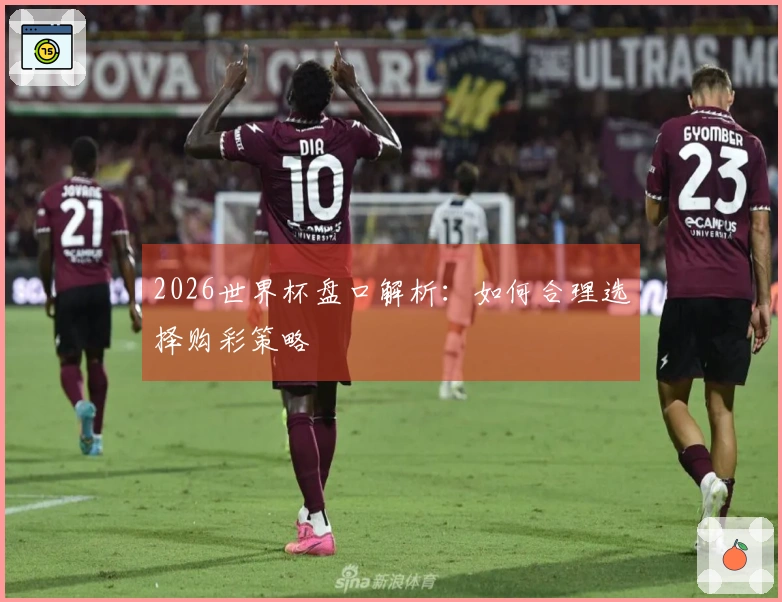 2026世界杯盘口解析：如何合理选择购彩策略